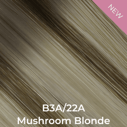 #B3A/22A Mushroom Blonde